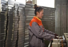 国产精品亚洲AV无人区一麻豆加工
