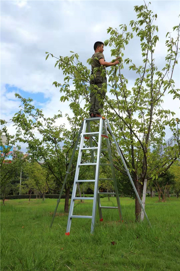 梯具定製.jpg 梯具定製.jpg